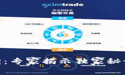 IM冷钱包的专业解读：专家揭示独家秘诀，保护你的数字资产