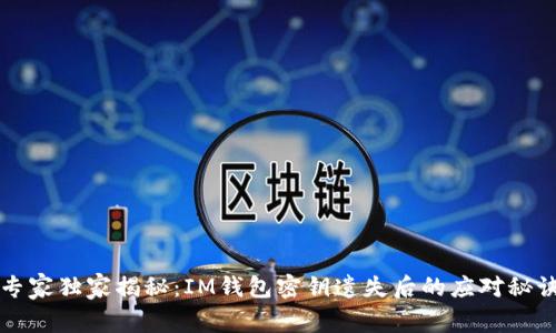专家独家揭秘：IM钱包密钥遗失后的应对秘诀