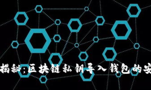 专家独家揭秘：区块链私钥导入钱包的安全性秘诀