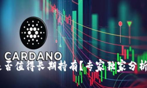 CORE币值是否值得长期持有？专家独家分析与秘诀分享