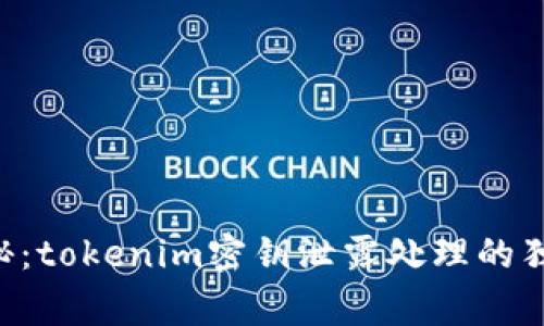 专家揭秘：tokenim密钥泄露处理的独家秘诀！