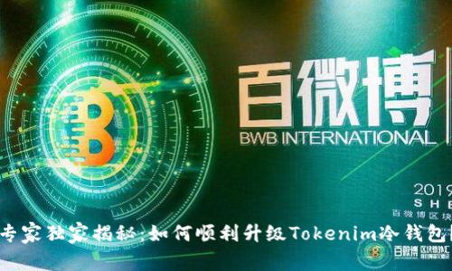 专家独家揭秘：如何顺利升级Tokenim冷钱包？