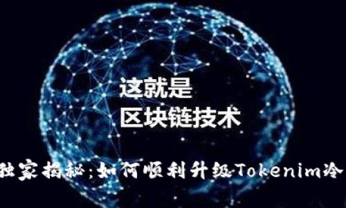 专家独家揭秘：如何顺利升级Tokenim冷钱包？