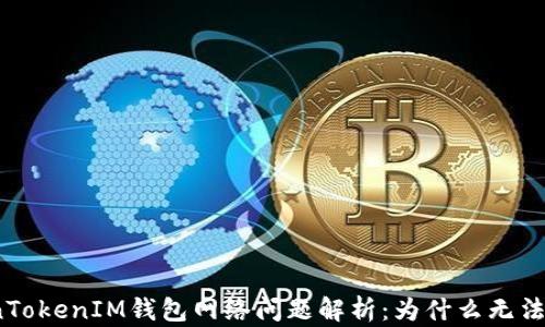 
TokenTokenIM钱包网络问题解析：为什么无法连接？