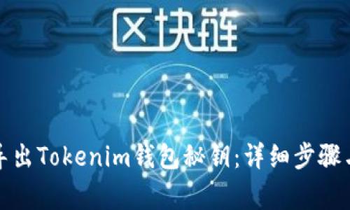 如何安全导出Tokenim钱包秘钥：详细步骤与注意事项