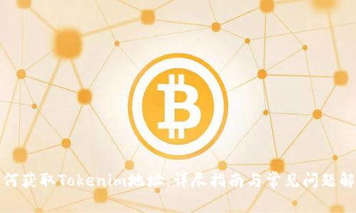 如何获取Tokenim地址：详尽指南与常见问题解答