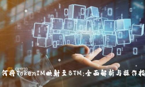 如何将TokenIM映射至BTM：全面解析与操作指南