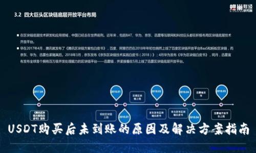 USDT购买后未到账的原因及解决方案指南