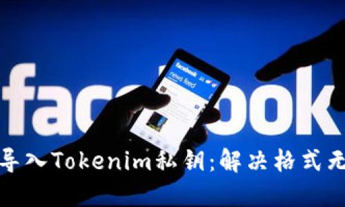 如何正确导入Tokenim私钥：解决格式无效的问题