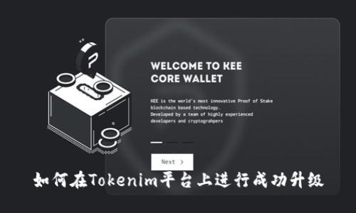 如何在Tokenim平台上进行成功升级