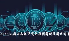 Tokenim国内无法下载的原因解析及解决方案