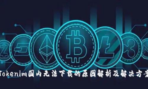 Tokenim国内无法下载的原因解析及解决方案