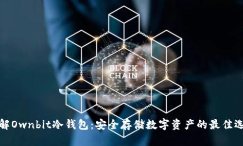详解Ownbit冷钱包：安全存储数字资产的最佳选择