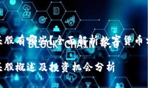 数字货币板块龙头股有哪些？全面解析数字货币相关股票投资机会

数字货币板块龙头股概述及投资机会分析