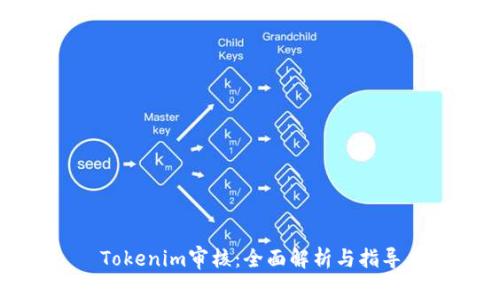 Tokenim审核：全面解析与指导