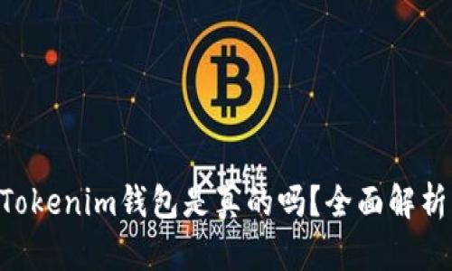 国内TokenTokenim钱包是真的吗？全面解析与用户体验