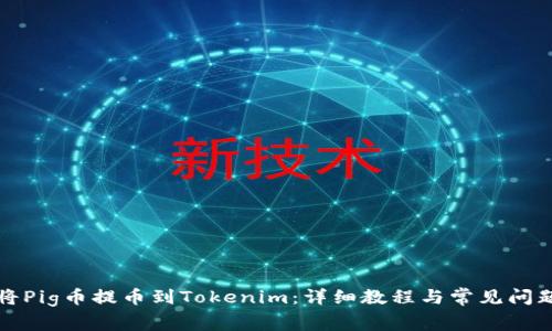 如何将Pig币提币到Tokenim：详细教程与常见问题解答