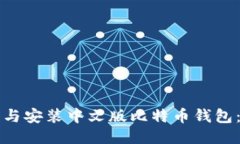 如何下载与安装中文版比