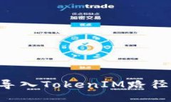如何成功导入TokenIM路径：全面指南