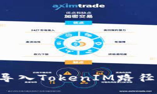 如何成功导入TokenIM路径：全面指南