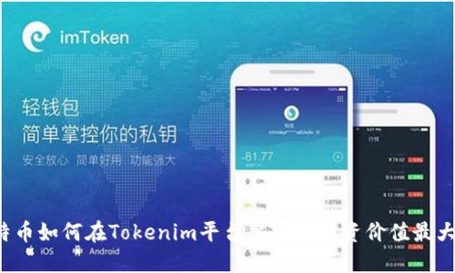 比特币如何在Tokenim平台上实现投资价值最大化？