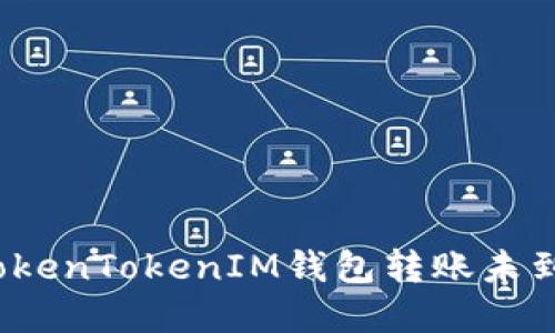 如何解决TokenTokenIM钱包转账未到账的问题？