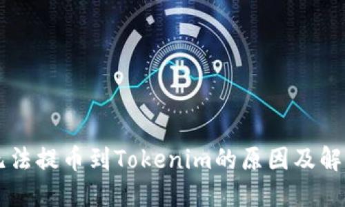 货币无法提币到Tokenim的原因及解决方法