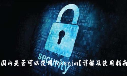 国内是否可以使用Tokenim？详解及使用指南