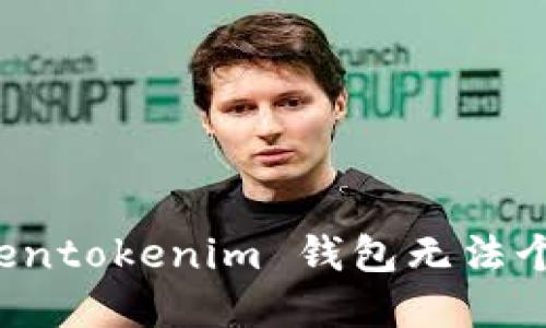 如何解决 Tokentokenim 钱包无法个人注册的问题