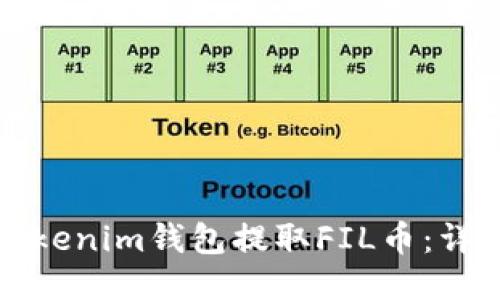 如何通过Tokenim钱包提取FIL币：详细流程指南