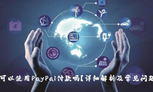 国内可以使用PayPal付款吗？详细解析及常见问题解答