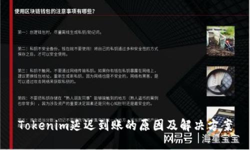 Tokenim延迟到账的原因及解决方案