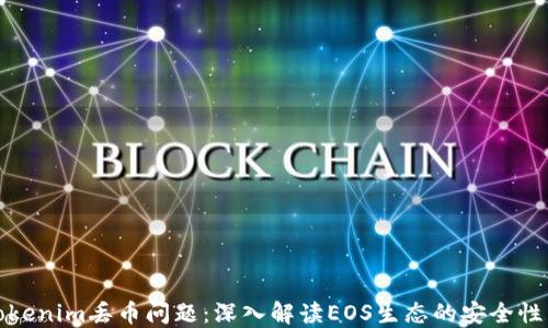 
如何处理Tokenim丢币问题：深入解读EOS生态的安全性与解决方案