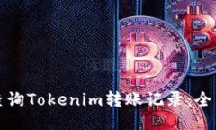 如何查询Tokenim转账记录：全面指南