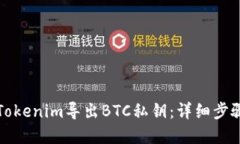 如何在Tokenim导出BTC私钥：详细步骤与指南