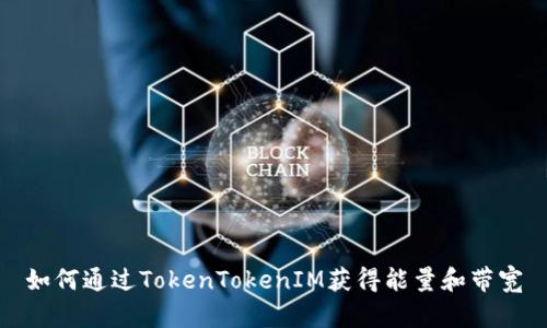 如何通过TokenTokenIM获得能量和带宽